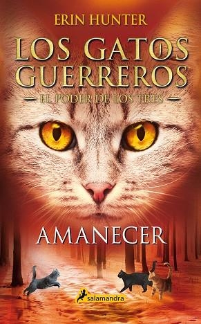 LOS GATOS GUERREROS EL PODER DE LOS TRES AMANECER | 9788418174056 | ERIN HUNTER