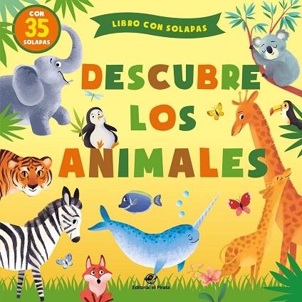 Descubre los animales | 9788417210922 | Margarita Kuhtina