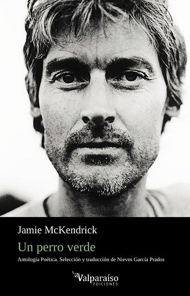 UN PERRO VERDE | 9788417096670 | JAMIE MCKENDRICK