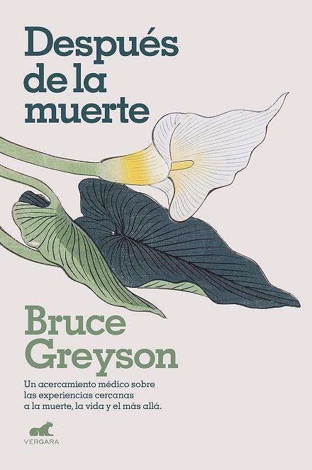 DESPUES DE LA MUERTE | 9788418045578 | BRUCE GREYSON