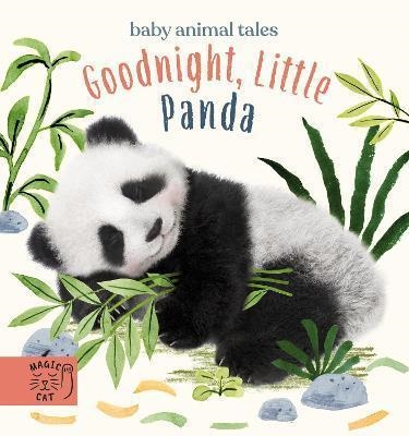 BABY ANIMALS PANDA | 9781913520236 | AMANDA WOOD