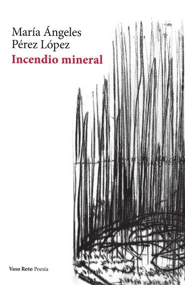 Incendio mineral | 9788412348750 | MARIA ANGELES PEREZ LOPEZ