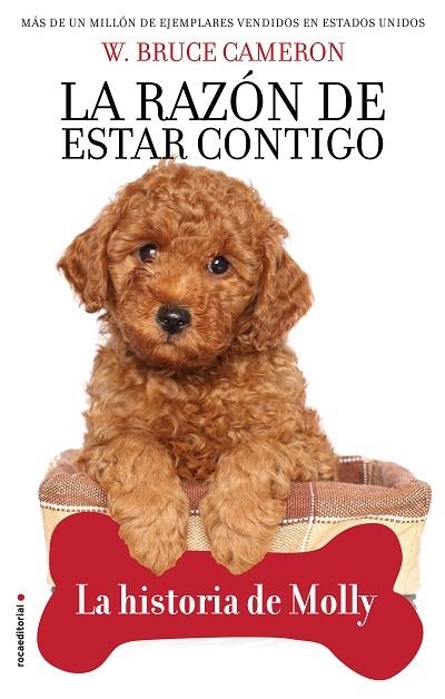 LA RAZON DE ESTAR CONTIGO | 9788417968007 | W. BRUCE CAMERON