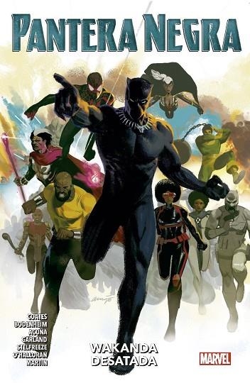 PANTERA NEGRA 04 WAKANDA DESATADA | 9788411010030 | TA-NEHISI COATES