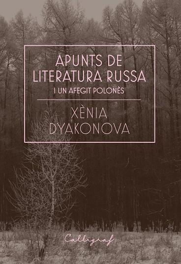 APUNTS DE LITERATURA RUSSA I UN AFEGIT POLONÈS | 9788412212358 | XENIA DYAKONOVA