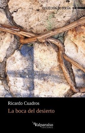 LA BOCA DEL DESIERTO | 9788417096229 | RICARDO CUADROS