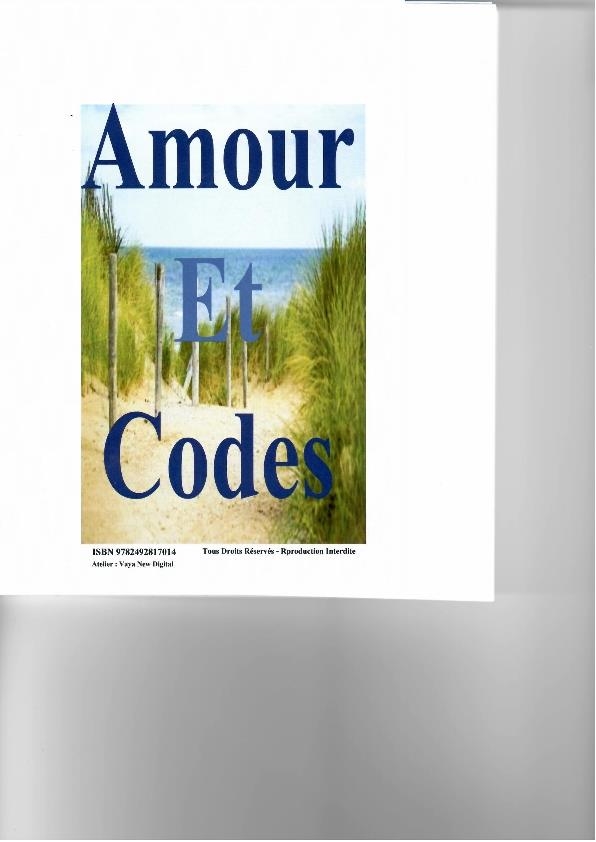 AMOUR ET CODES | 9782492817014 | VAYA NEW DIGITAL