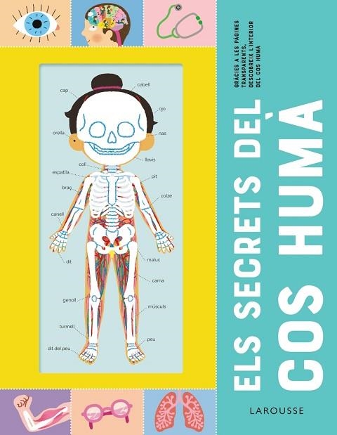 ELS SECRETS DEL COS HUMA | 9788418473227 | ÉDITIONS LAROUSSE