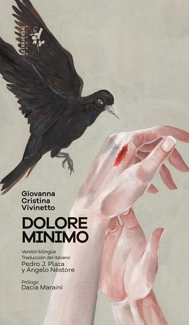 Dolore minimo | 9788412276664 | Giovanna Cristina Vivinetto