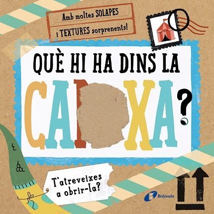 QUE HI HA DINS LA CAIXA? | 9788413490830 | ISABEL OTTER