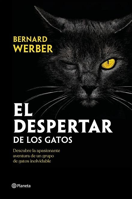 El despertar de los gatos | 9788408251835 | Bernard Werber