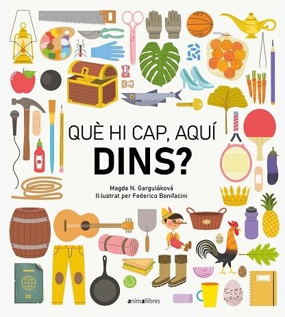 QUE HI CAP AQUI DINS? | 9788418592461 | MAGDA GARGULÁKOVA