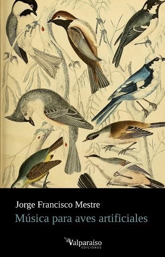 MÚSICA PARA AVES ARTIFICIALES | 9788418694691 | JORGE FRANCISCO MESTRE