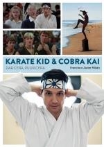 KARATE KID & COBRA KAI DAR CERA, PULIR CERA | 9788418320583 | FRANCISCO JAVIER MILLÁN