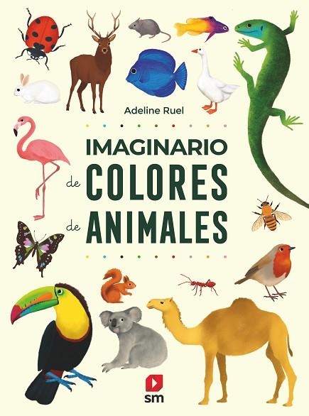 Imaginario de colores de animales | 9788413188546 | VVAA