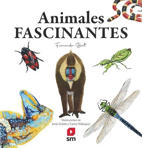 Animales fascinantes | 9788413922188 | Fernando Bort