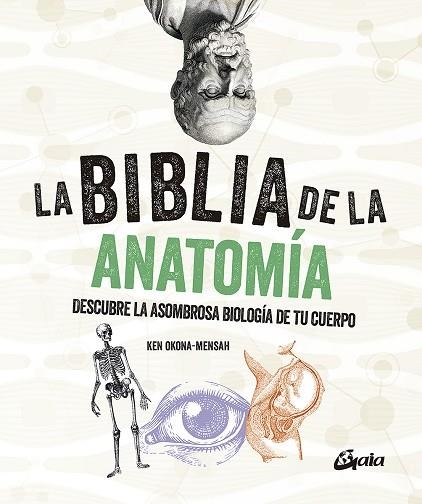 LA BIBLIA DE LA ANATOMIA | 9788484459521 | KEN OKONA-MENSAH