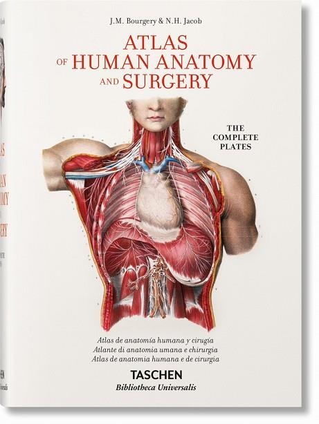 ATLAS OF HUMAN ANATOMY AND SURGERY | 9783836556620 | JEAN-MARIE LE MINOR & HENRI SICK