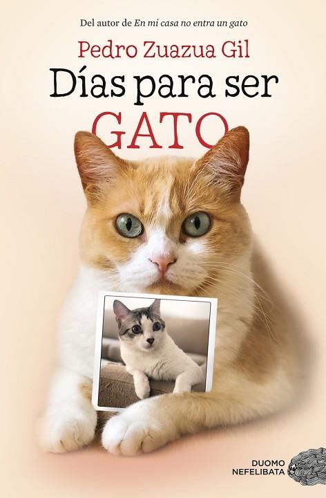 DÍAS PARA SER GATO | 9788417128524 | PEDRO ZUAZUA GIL