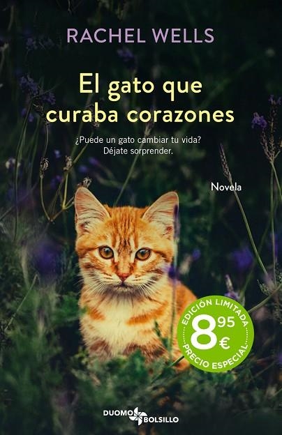 El gato que curaba corazones | 9788419004468 | RACHEL WELLS