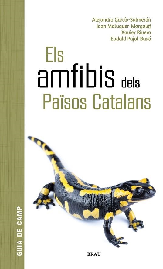 ELS AMFIBIS DELS PAÏSOS CATALANS | 9788418096341 | ALEJANDRO GARCÍA SALMERÓN & JOAN MALUQUER MARGALEF & XAVIER RIVERA & EUDALD PUJOL-BUXÓ