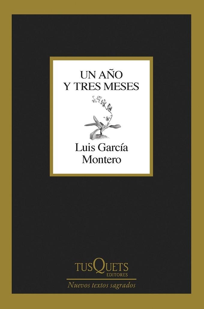 Un año y tres meses | 9788411071475 | Luis García Montero