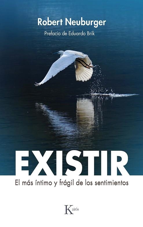 Existir | 9788411210515 | Robert Neuburger