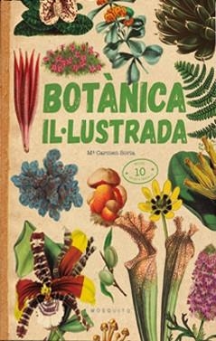 BOTÀNICA IL·LUSTRADA | 9788419095091 | CARMEN SORIA