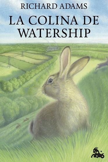 La colina de Watership | 9788432241468 | Richard Adams