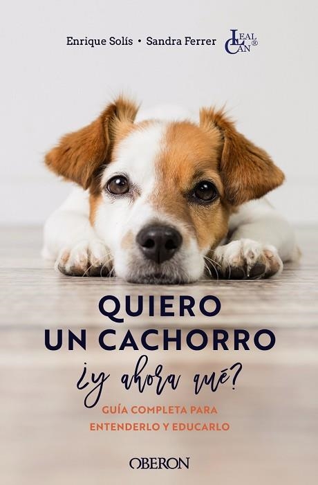 QUIERO UN CACHORRO ¿Y AHORA QUÉ? | 9788441546561 | ENRIQUE SOLÍS ÁLVAREZ & SANDRA FERRER DE LUCAS