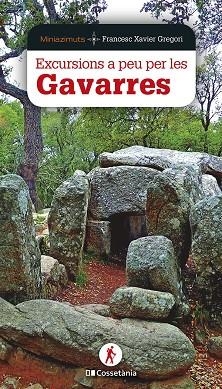 EXCURSIONS A PEU PER LES GAVARRES | 9788413562056 | FRANCESC XAVIER GREGORI