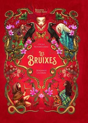 LES BRUIXES | 9788447948987 | CECILA ROUMIGUIÈRE & BENJAMIN LACOMBE