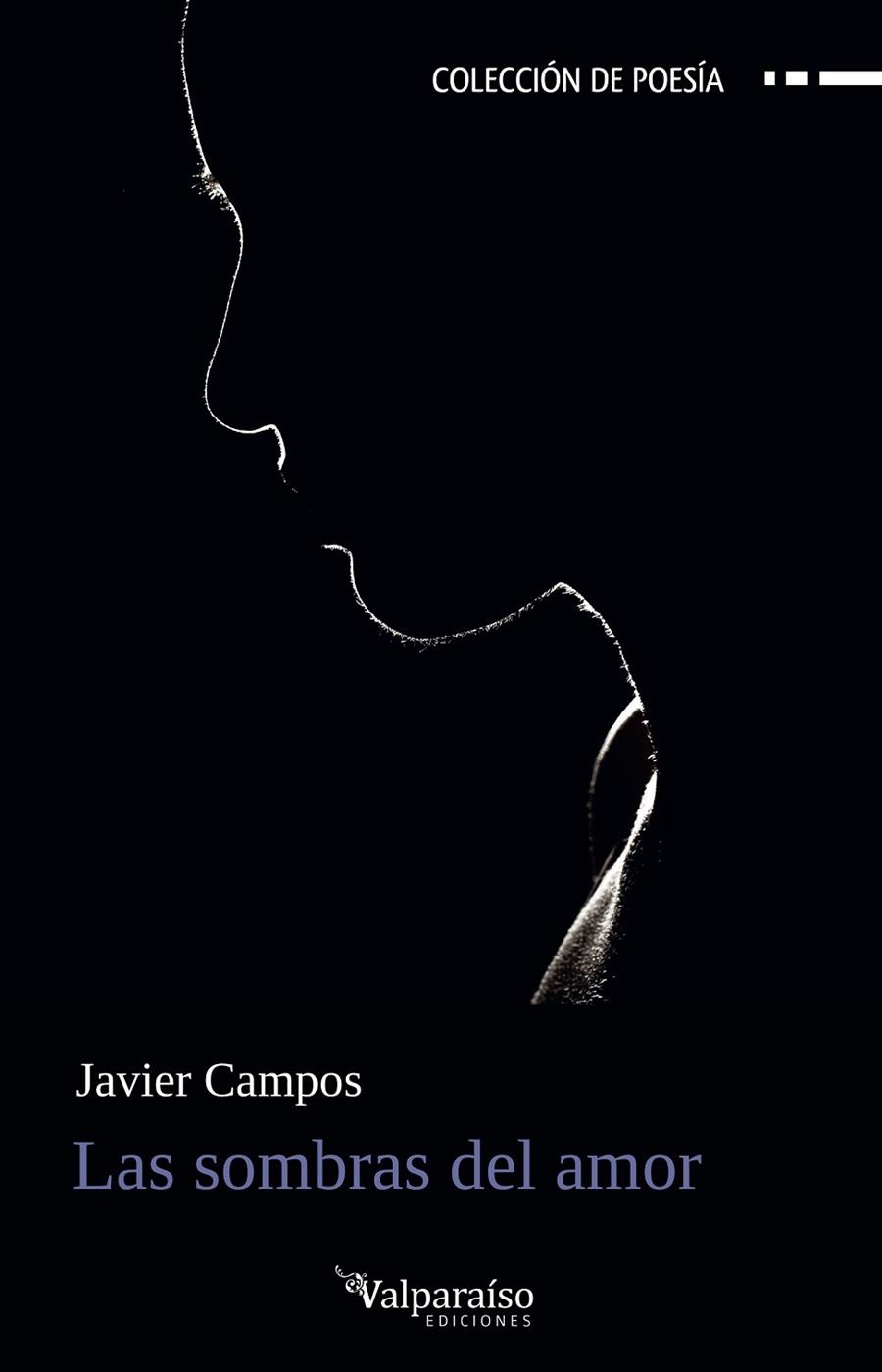 LAS SOMBRAS DEL AMOR | 9788419347169 | JAVIER CAMPOS