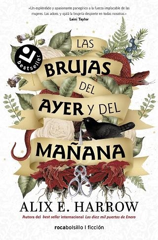 LAS BRUJAS DEL AYER Y DEL MAÑANA | 9788418850769 | ALIX E. HARROW