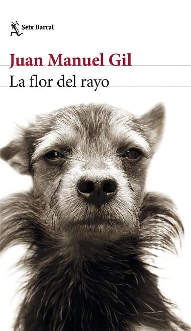 La flor del rayo | 9788432241574 | Juan Manuel Gil