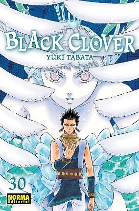 BLACK CLOVER 30 | 9788467959086 | YUKI TABATA