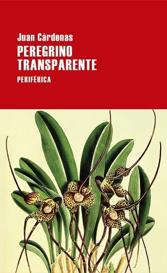 Peregrino transparente | 9788418838620 | JUAN CARDENAS