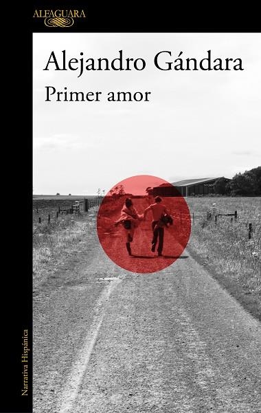 PRIMER AMOR | 9788420463995 | ALEJANDRO GANDARA