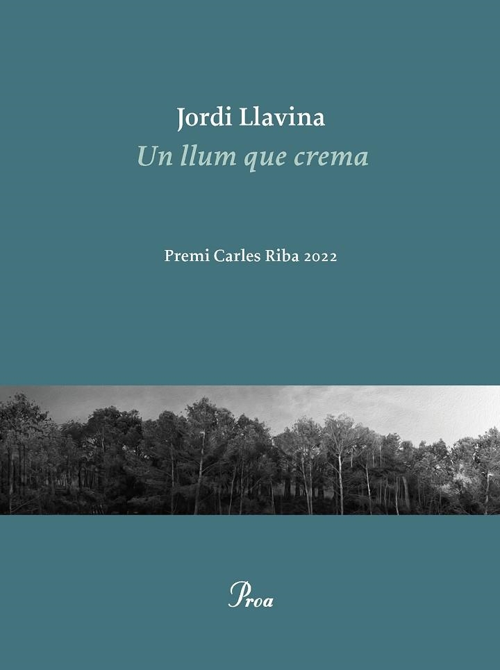 Un llum que crema | 9788475889979 | Jordi Llavina