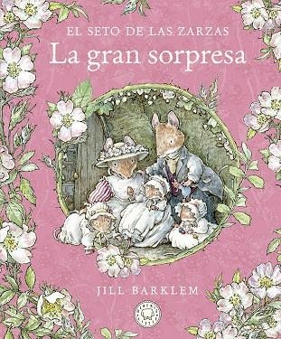 La gran sorpresa | 9788418733666 | Jill Barklem