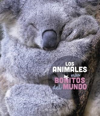 LOS ANIMALES MÁS BONITOS DEL MUNDO | 9788419436177 | STÉPHANIE LEDU