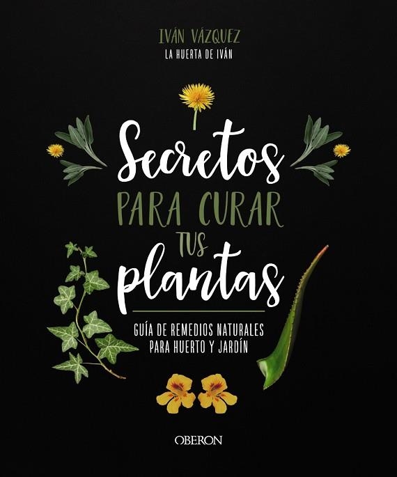 SECRETOS PARA CURAR TUS PLANTAS | 9788441547162 | IVÁN VÁZQUEZ MUÑOZ