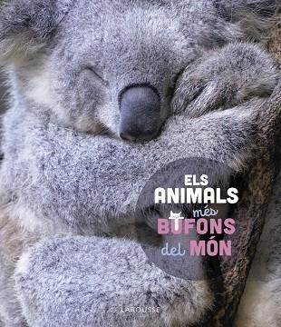 ELS ANIMALS MÉS BUFONS DEL MÓN | 9788419436184 | STÉPHANIE LEDU