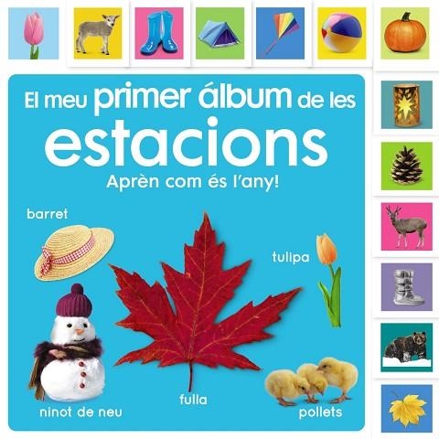 EL MEU PRIMER ÁLBUM DE LES ESTACIONS APREN COM ES L'ANY! | 9788413492483 | DAWN SIRETT