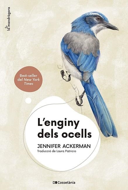 L'ENGINY DELS OCELLS | 9788413562544 | JENNIFER ACKERMAN