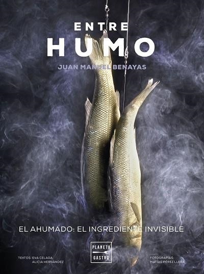 ENTRE HUMO | 9788408271048 | JUAN MANUEL BENAYAS