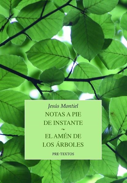 Notas a pie de instante & El amén de los árboles | 9788419633255 | Jesús Montiel