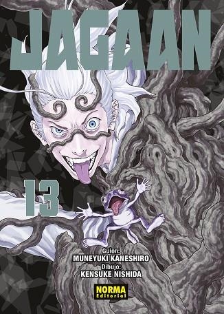 JAGAAN 13 | 9788467960310 | MUNEYUKI KANESHIRO & KENSUKE NISHIDA