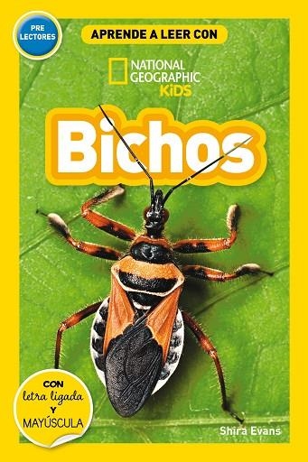 Bichos | 9788482988474 | SHIRA EVANS