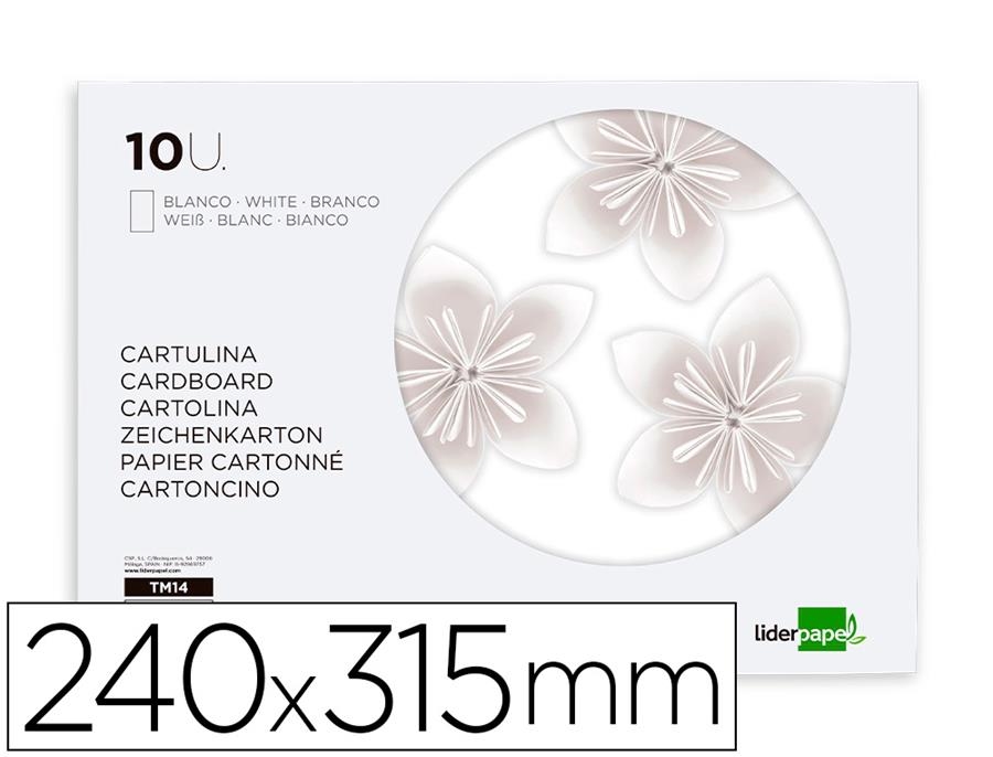 BLOC 10 CARTOLINES BLANQUES DIN A4 | 8423473046825 | LIDERPAPEL